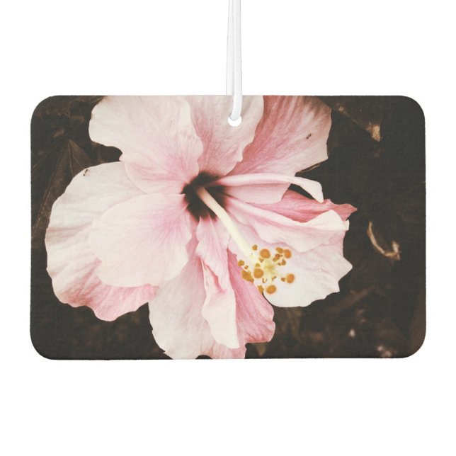 Désodorisant Pour Voiture hibiscus (Devant)