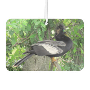 Désodorisant Pour Voiture Homme (devant) et Femme (derrière) Anhinga