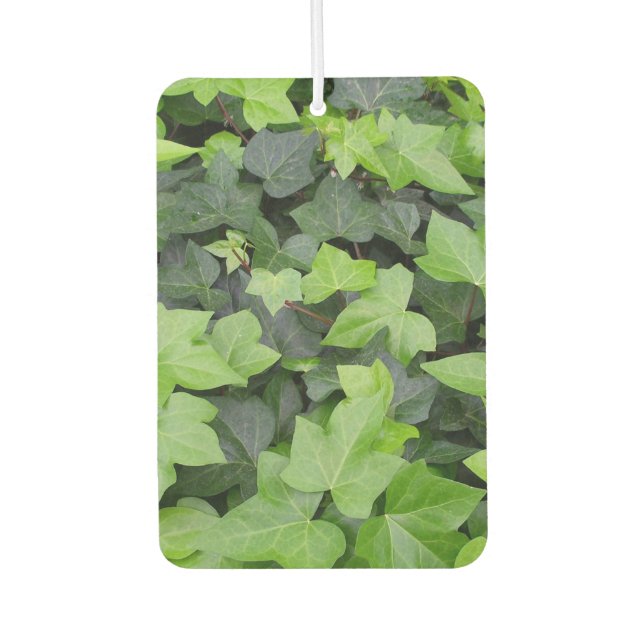 Désodorisant Pour Voiture Impression botanique verte Ivy (Devant)