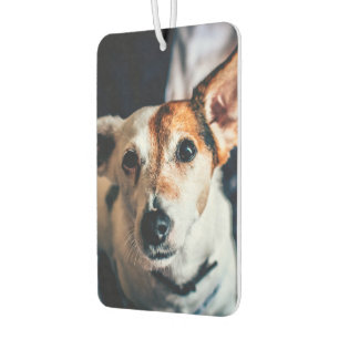 Désodorisant Pour Voiture Jack Russell Terrier Air Freshener