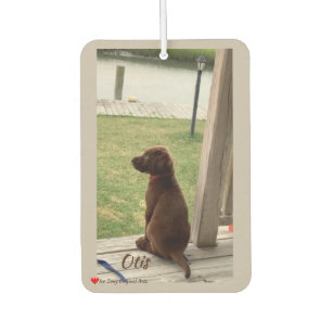 Désodorisant Pour Voiture Jardin d'arpentage des chiens mignons et ruisseau