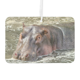Désodorisant Pour Voiture Joyeux Hippo