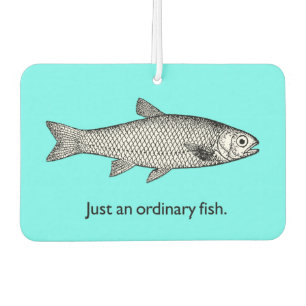 Désodorisant Pour Voiture Juste un parfum d'ambiance ordinaire de poissons