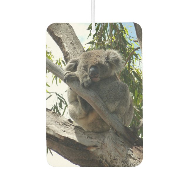 Désodorisant Pour Voiture Koala - Dormir (Devant)