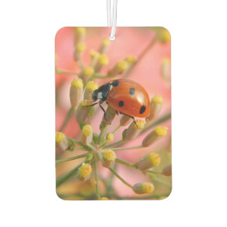 Désodorisant Pour Voiture Lady Bug Car Air Freshener
