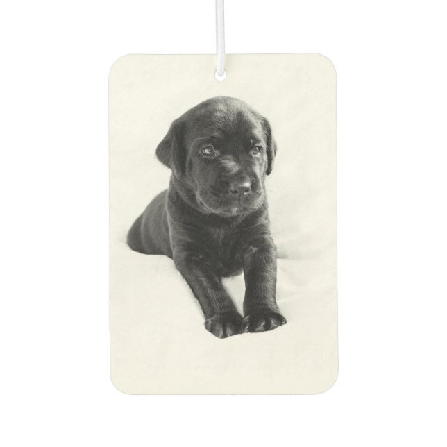 Désodorisant Pour Voiture L'amour de chiot noir labrador (Devant)