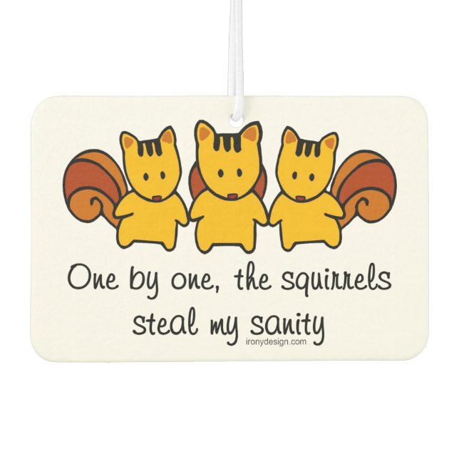 Désodorisant Pour Voiture Les écureuils volent ma santé mentale (Devant)