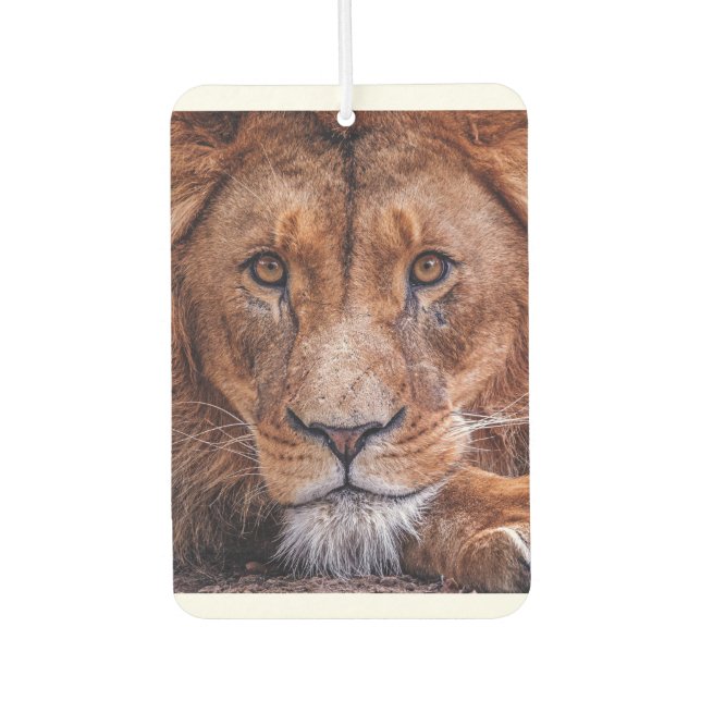 Désodorisant Pour Voiture Lion africain (Devant)