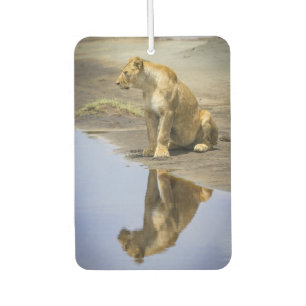 Désodorisant Pour Voiture Lioness Reflection Air Freshener