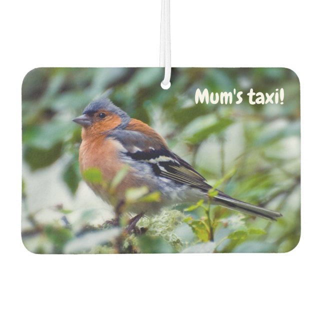 Désodorisant pour voiture Little Chaffinch (Devant)