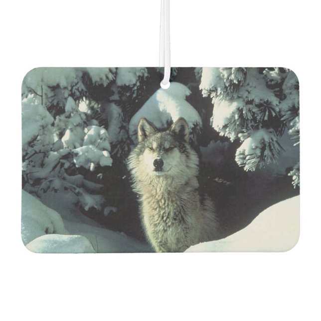 Désodorisant Pour Voiture Loup d'hiver (Devant)