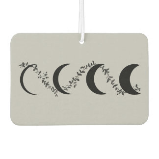 DÉSODORISANT POUR VOITURE M&M