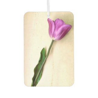Désodorisant Pour Voiture Magenta Tulip brillant