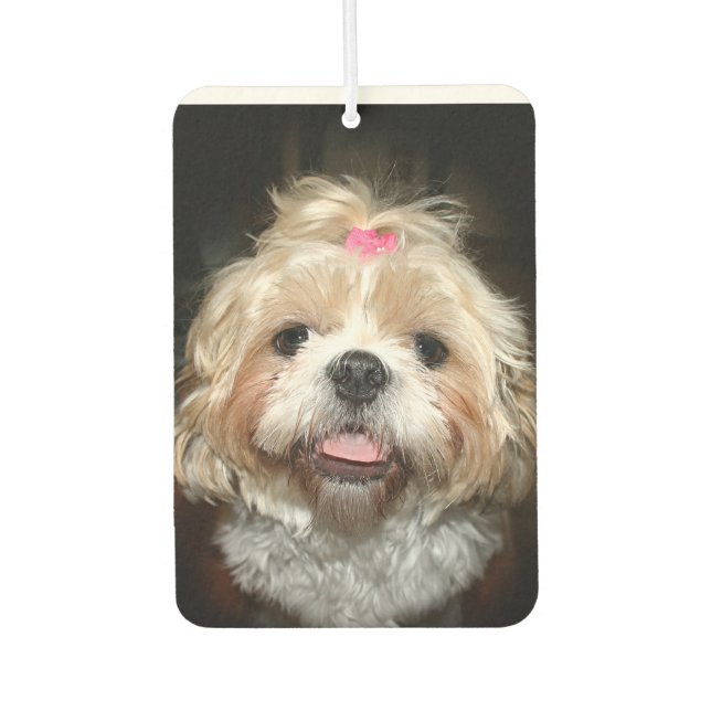 Désodorisant Pour Voiture Mare visage Shih Tzu (Devant)