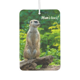 Désodorisant Pour Voiture Meerkat Rafraîchiseur d'air de voiture