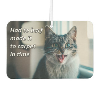 Désodorisant Pour Voiture Mèmes animaux amusants Mèmes chats Mèmes photos hu