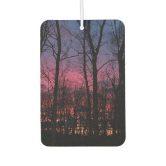 Désodorisant pour voiture Michigan Sunset