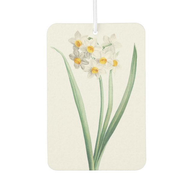 Désodorisant Pour Voiture Narcissus, Pierre-Joseph Redouté, 1805 (Devant)