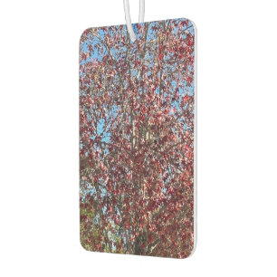 Désodorisant Pour Voiture Nature Fantastique,