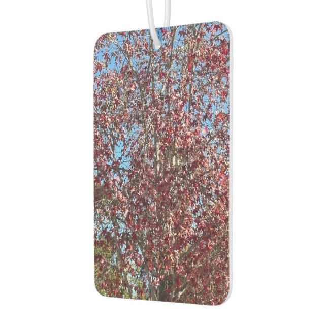 Désodorisant Pour Voiture Nature Fantastique, (Gauche)