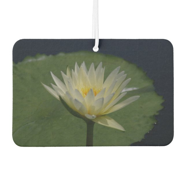 Désodorisant Pour Voiture Nénuphar blanc Lotus (Devant)