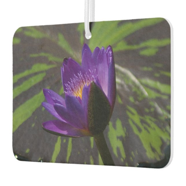 Désodorisant Pour Voiture Nénuphar de Lotus pourpre (Gauche)
