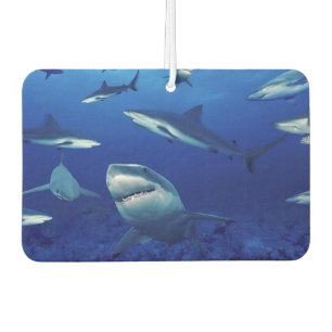 Désodorisant Pour Voiture Nettoyeur d'air des requins