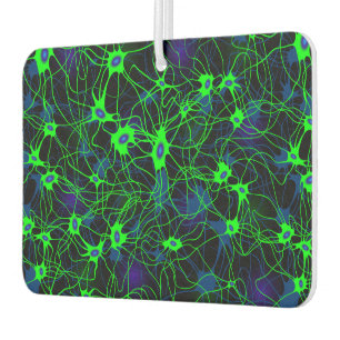 Désodorisant Pour Voiture Neuron City Voiture Freshener