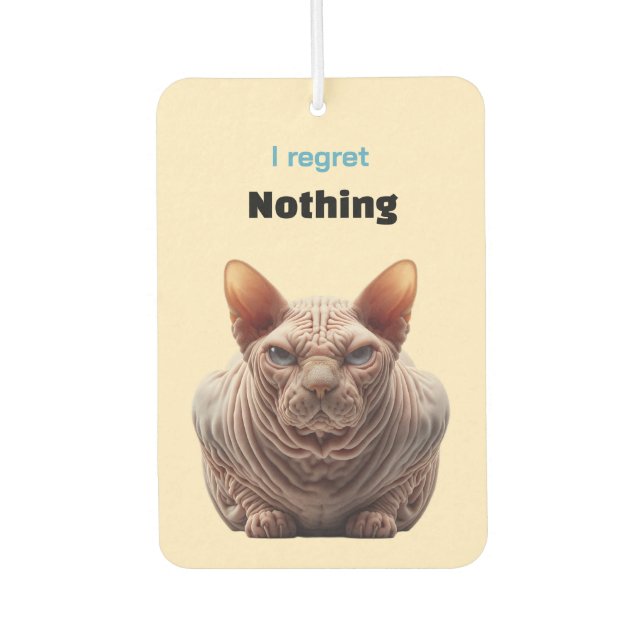 Désodorisant Pour Voiture No regret Sphynx Cat (Devant)