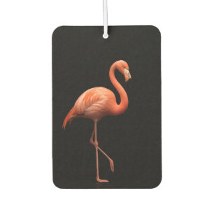 Désodorisant Pour Voiture Noir 4 Luxe Voiture Fraîcheurs d'air, Flamant rose