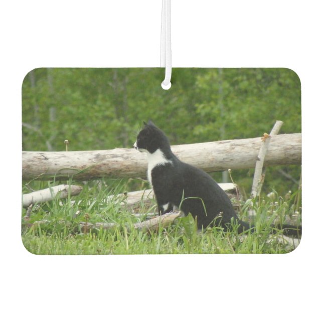 Désodorisant Pour Voiture Noir et blanc Grange Kitten (Devant)