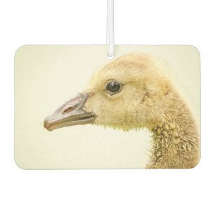 Désodorisant Pour Voiture Oie canadienne (Gosling)