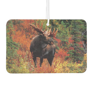 Désodorisant Pour Voiture Oie de Yellowstone