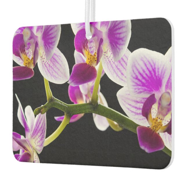 Désodorisant Pour Voiture Orchidée blanche et violette (Gauche)