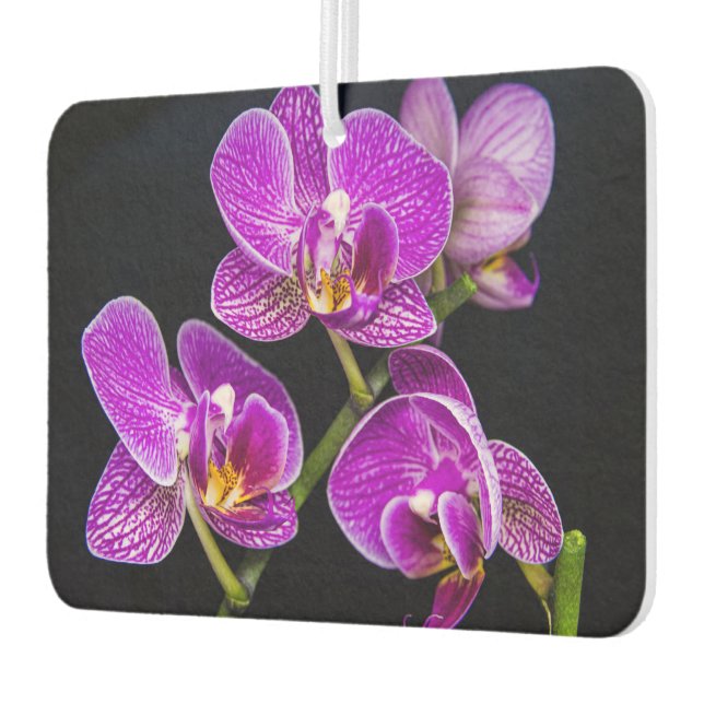 Désodorisant Pour Voiture Orchidée violette (Gauche)