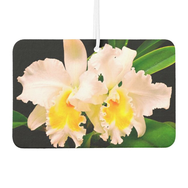 Désodorisant Pour Voiture Orchidées délicates (Devant)
