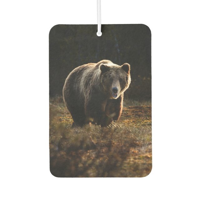 Désodorisant Pour Voiture Ours (Devant)