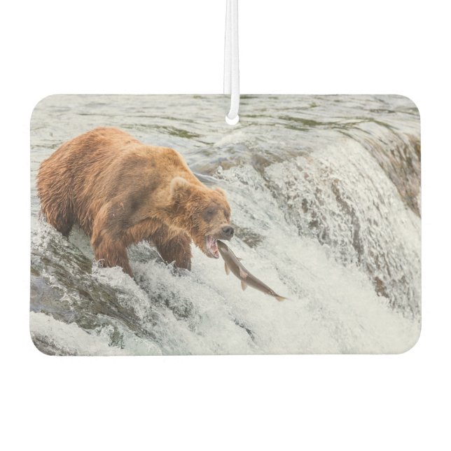 Désodorisant Pour Voiture Ours brun attrape un saumon rouge (Devant)