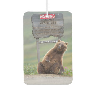 Désodorisant Pour Voiture Ours Grizzly Joue Avec Un Panneau