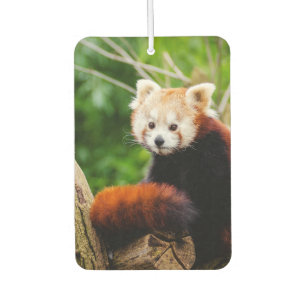 Désodorisant Pour Voiture Ours panda rouge mignon