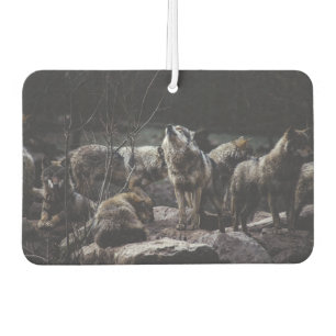 Désodorisant Pour Voiture Pack Wolf