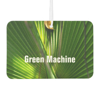Désodorisant Pour Voiture Palmetto et feuille de scie