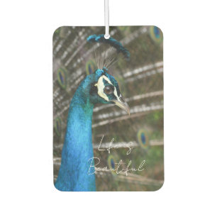 Désodorisant Pour Voiture Paon de Kauai 