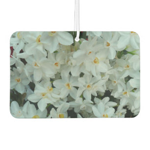 Désodorisant Pour Voiture Paperwhite Narcissus Fleurs blanches délicates