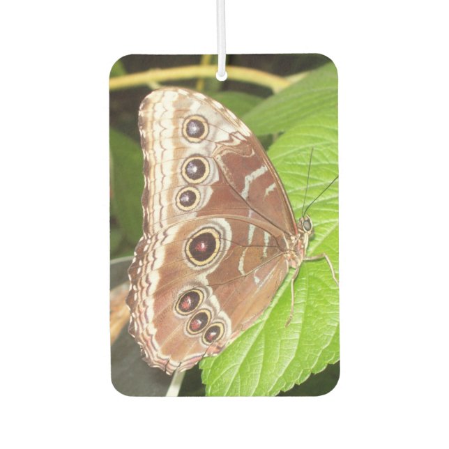 désodorisant pour voiture papillon marron à oeil (Devant)