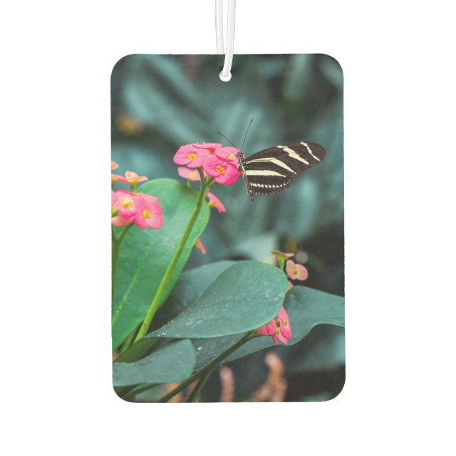 Désodorisant Pour Voiture Papillon sur une fleur (Dos)