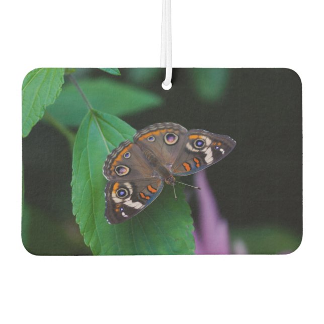 Désodorisant Pour Voiture Papillon tacheté (Devant)