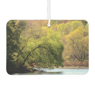 Désodorisant Pour Voiture Parc des marais de Turquie - Feuilles d'automne à