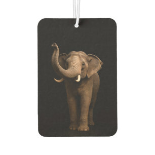 Désodorisant Pour Voiture Parfums de voiture Black 4 Luxe, Mighty Elephant