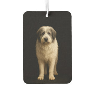 Désodorisant Pour Voiture Parfums de voiture Black 4 Luxe Mioritic Shepherd